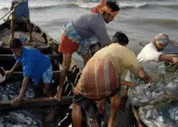 उत्तर प्रदेश में ‘मत्स्य फसल बीमा’ योजना शुरु, ऐसे करें आवेदन, जानें पूरा प्रोसेस!
