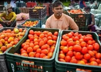 इस राज्य में सबसे निचले स्तर पर पहुंचा टमाटर का भाव, लागत के भी पड़े लाले
