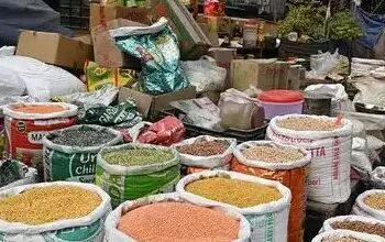 2024 में दोगुना हुआ दालों का आयात, रिकॉर्ड पर दर्ज किया गया इंपोर्ट
