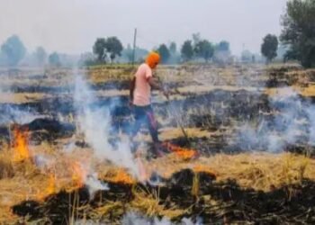 केंद्र ने ठुकराई 1200 करोड़ की मांग, पराली जलाने की रोक को लेकर हुई थी डिमांड!