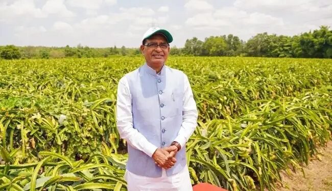 शिवराज सिंह चौहान का बड़ा ऐलान, हर जिले में पहुंचेगी 2000 वैज्ञानिकों की टीमें….