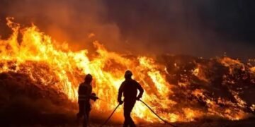 उत्तराखंड आग मामले में सुप्रीम कोर्ट ने केंद्र और राज्य सरकार को जमकर फटकार लगाई