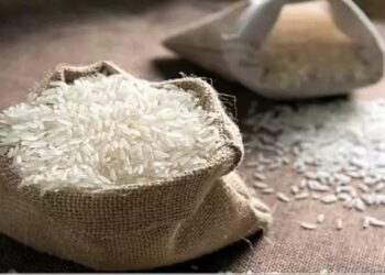 सरकार का बड़ा कदम! आज से बाजार में उतरेगा कम दाम वाला ‘भारत चावल’