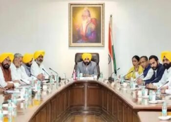 पंजाब सरकार बनाने जा रही नई कृषि नीति, किसानों की कमाई में होगी बढ़ोतरी