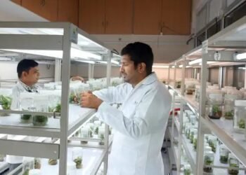 नर्सरी बढ़ाने का बेहतरीन मौका, Tissue Culture Lab लगाने पर मिल रही सब्सिडी