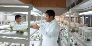 नर्सरी बढ़ाने का बेहतरीन मौका, Tissue Culture Lab लगाने पर मिल रही सब्सिडी
