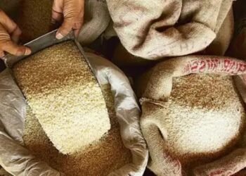 सरकार ने 2025-26 में अनाज उत्पादन का नया रिकॉर्ड बनाने का लक्ष्य रखा