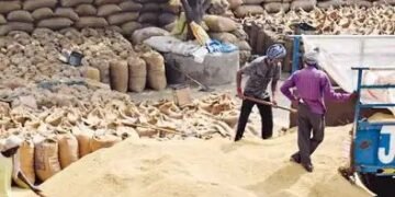यूपी, पंजाब में धान की खरीद आज से शुरू, 2 दिनों में होगा भुगतान