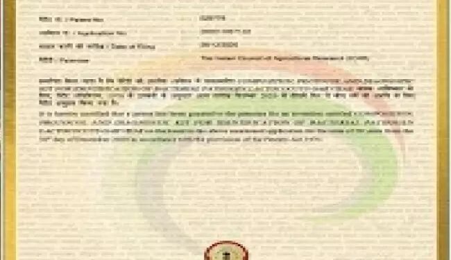 भाकृअनुप-डीसीएफआर ने लैक्टोकोकस गार्विए का पता लगाने के लिए पेटेंट किया सुरक्षित