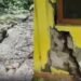 नैनीताल में भूस्खलन का खतरा, मजबूरी घर छोड़ भाग रहे लोग
