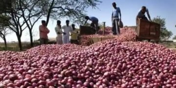 महाराष्ट्र की मंडियों में प्याज के दाम पर मचा हाहाकार, जानें क्या है दाम?