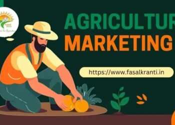कृषि विपणन (Agriculture marketing) और (Rural Development) ग्रामीण विकास की महत्ता