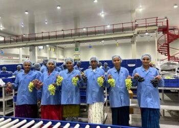 महिंद्रा ने भारतीय टेबल अंगूर निर्यात में अग्रणी होने के 20 वर्ष पूरे किए