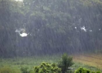 मुद्रास्फीति, आय और ब्याज दरें: ‘सामान्य से अधिक’ मानसून के प्रभाव