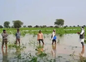 यूपी: फसले बर्बाद, खेतों में भरा पानी, गंगा-यमुना-सरयू के पानी ने बढ़ाई आफत