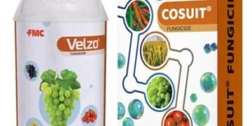 FMC India ने दो नए अभिनव उत्पाद, VELZO® और COSUIT® फफूंदनाशक लॉन्च किए