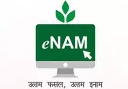 वित्त वर्ष 2024 में ई-एनएएम पर कृषि व्यापार 78,400 करोड़ रुपये को पार कर गया