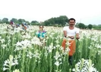 ये राज्य सरकार दे रही बागवानी विकास के लिए किसानों को 8.5 करोड़, सब्सिडी से लेकर ट्रेनिंग तक मिलेंगी ये सुविधाएं