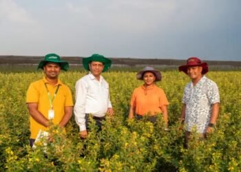 आईसीआरआईएसएटी ने दुनिया की पहली अत्यधिक गर्मी सहन करने वाली अरहर किस्म को विकसित किया