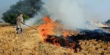 पराली को लेकर एक्श्न में योगी सरकार, 17 पर FIR, वसूले 6 लाख, 10 लाख तक जुर्माना तय