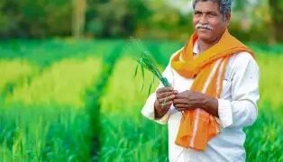 इन राज्यों के किसानों के बैंक खातों में पहुंचे 11000 करोड़, पढ़ें पूरी खबर..
