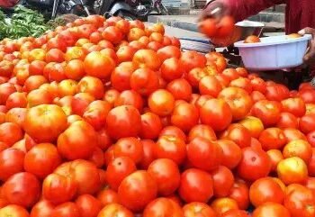 टमाटर की कीमतों में इजाफा, जानें क्या हैं खुदरा भाव?