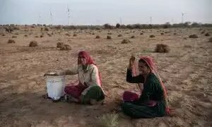 सामान्य से अधिक मानसून की संभावना कृषि क्षेत्र के लिए आशा लेकर आई है