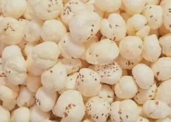 मखाने से मिलती है शरीर में जबरदस्त एनर्जी, दूर हो जाती हैं बीमारियां!