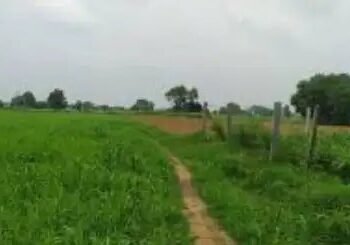 गुरुग्राम में जमीनों के सर्कल रेट में बढ़ोतरी, जानें पूरी डिटेल!