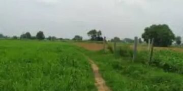 गुरुग्राम में जमीनों के सर्कल रेट में बढ़ोतरी, जानें पूरी डिटेल!