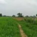 गुरुग्राम में जमीनों के सर्कल रेट में बढ़ोतरी, जानें पूरी डिटेल!