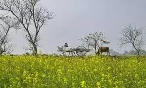 किसानों ने बैठक में सस्ता ऋण, कम कर और पीएम-किसान योजना की राशि दोगुनी करने की मांग की