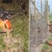 पंजाब: भारत- पाक सीमा पर ड्रोन के साथ मिले हथियार, BSF- पुलिस ने तेज की जांच