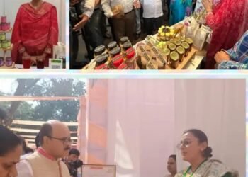 पीएयू-निधि-टीबीआई मेंटरशिप के तहत रैव एग्रो ने महत्वपूर्ण उपलब्धि हासिल की