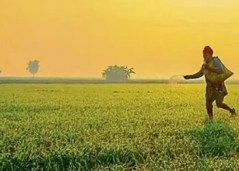 आत्मनिर्भर बनने के लिए सरकार दे रही 3 लाख का लोन, जल्द करें आवेदन
