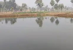 पाले को लेकर कृषि विभाग ने जारी किया अलर्ट, जानें क्या दी सलाह?