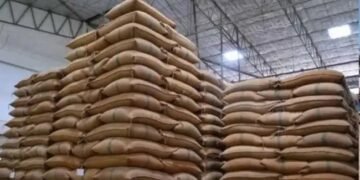 रखें अपनी फसल को गिरवी, गारंटी के साथ कम ब्याज दर पर मिलेगा लोन, ऐसे करें अप्लाई