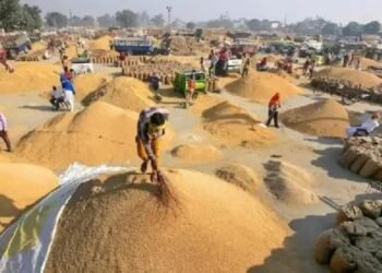 MP: 1 लाख से ज्यादा महिला किसानों ने सरकार को बेचा गेहूं, ऑनलाइन सुविधा से हुई आसानी