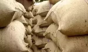 सरकार चीनी, गेहूं की कीमतों पर अंकुश लगाने के लिए सख्त कदम उठा रही है