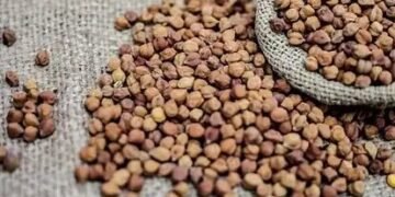 अहरहर के बाद अब चने के दाम ने बढ़ाई चिंता, जानें बढ़ते दामों के लिए कौन है जिम्मेदार
