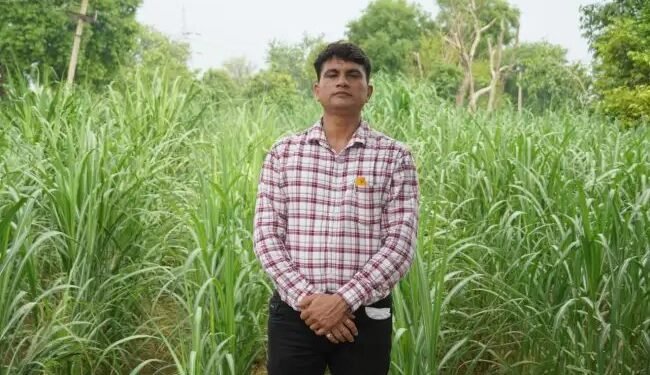 बागपत केवीके में खुलेगा गन्ना उत्कृष्टा केंद्र, जानें क्या होगा खास?