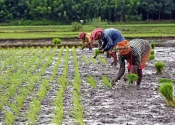 तेलंगाना में हजारों किसानों का लोन माफ, सरकार ने करोड़ों का फंड किया जारी