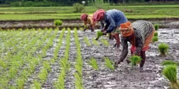तेलंगाना में हजारों किसानों का लोन माफ, सरकार ने करोड़ों का फंड किया जारी