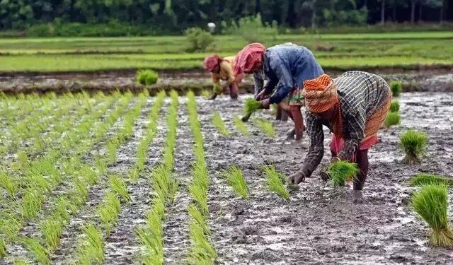 तेलंगाना में हजारों किसानों का लोन माफ, सरकार ने करोड़ों का फंड किया जारी