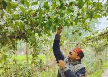 कृषि क्षेत्र में युवाओं के लिए सुनहरा अवसर, इस नौकरी के लिए करें आवेदन