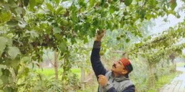 कृषि क्षेत्र में युवाओं के लिए सुनहरा अवसर, इस नौकरी के लिए करें आवेदन