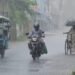 इन राज्यों में होने वाली है बारिश, IMD ने दी जानकारी, जानें डिटेल!