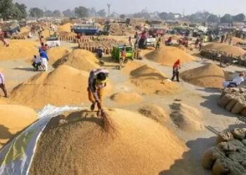 UP: 1 अक्टूबर से शुरु होने जा रही धान की खरीद, जानें किया है रजिस्ट्रेशन का तरीका