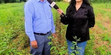 इन तकनीकों से बढ़ाएं अरहर की खेती की औसत उत्पादकता: डॉ. राज सिंह