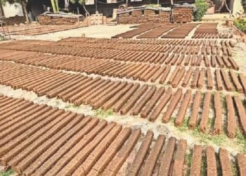 गोबर से बने उत्पाद: पर्यावरण और अर्थव्यवस्था के लिए वरदान